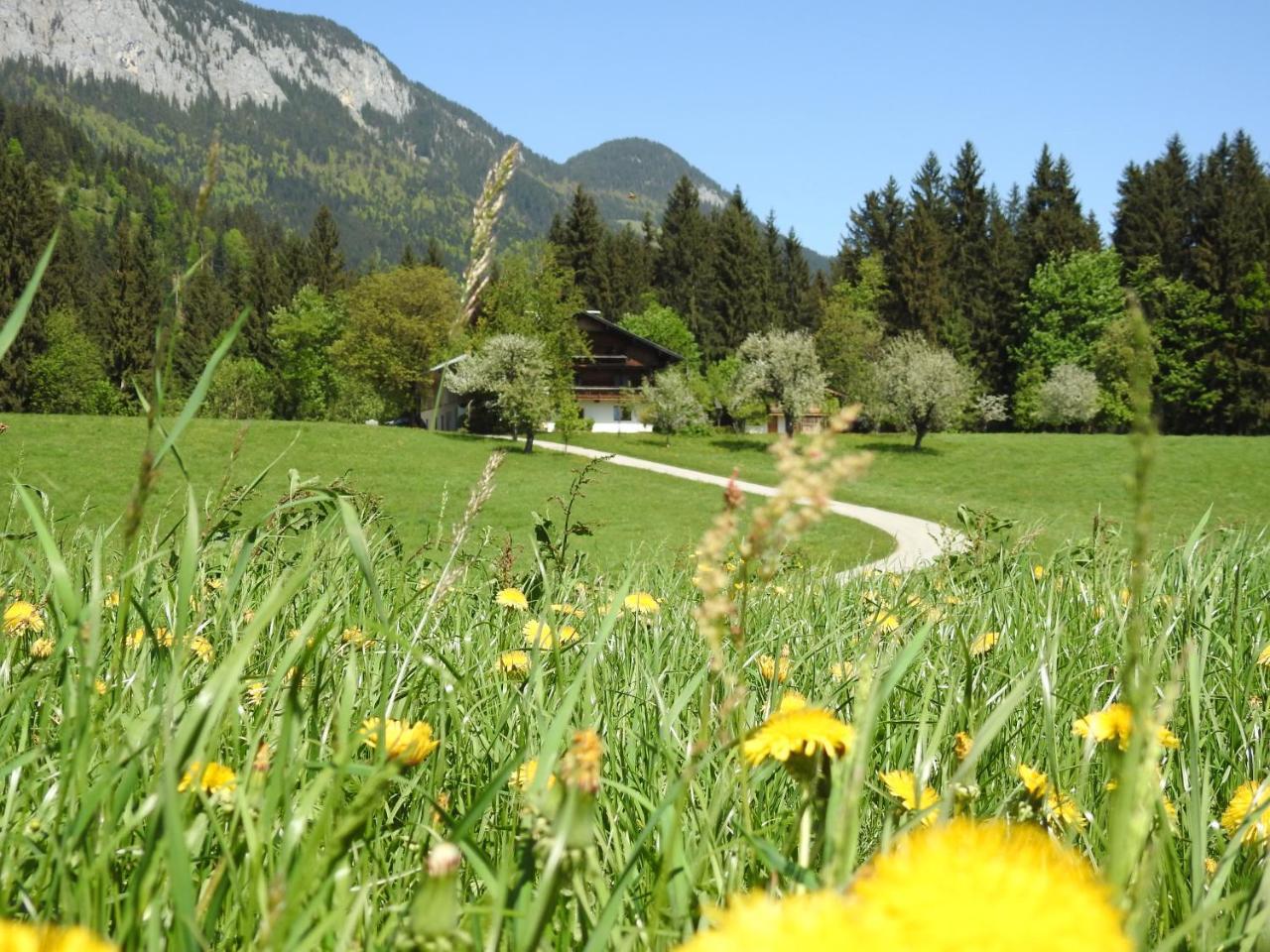 Bauernhof Hintenberg Itter Eksteriør billede